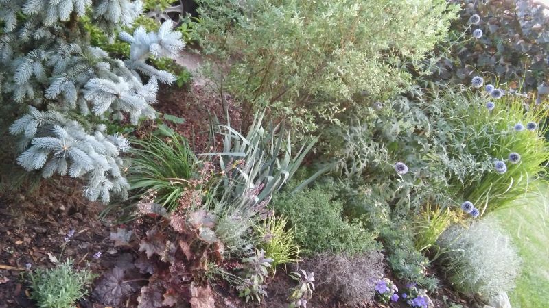 20180718_204339.jpg