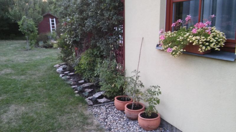 20180718_204348.jpg