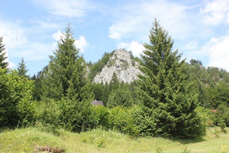 AIMG_9725.JPG