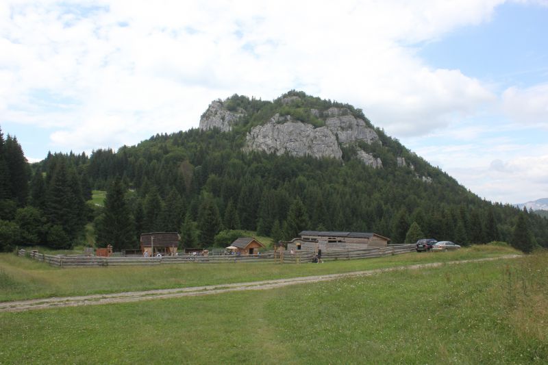 AIMG_9727.JPG