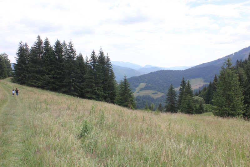 AIMG_9730.JPG