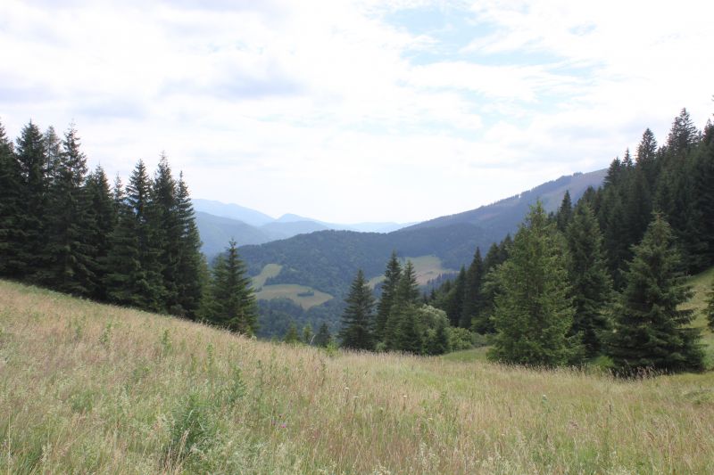AIMG_9733.JPG