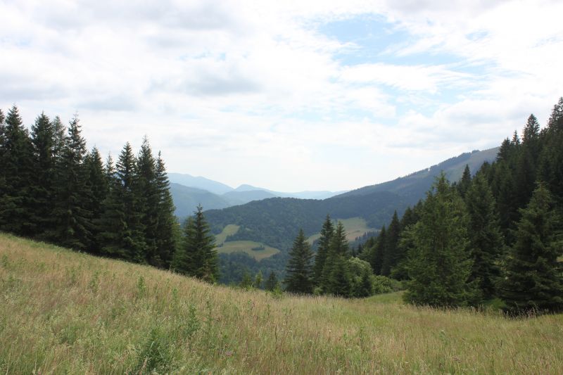 AIMG_9736.JPG
