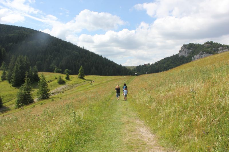 AIMG_9780.JPG