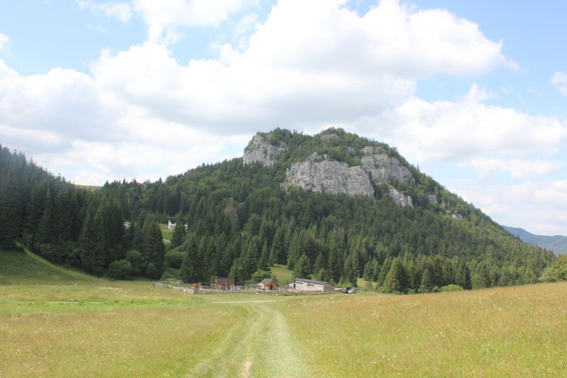 AIMG_9783.JPG