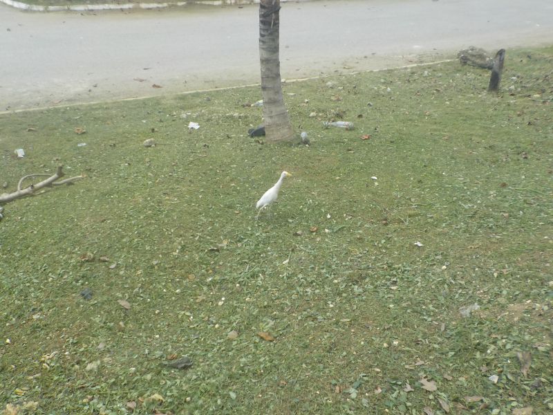 DSCN0040.JPG