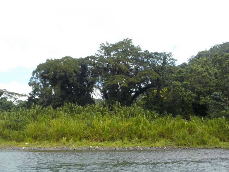 DSCN0127.JPG