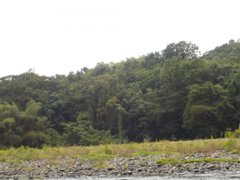 DSCN0159.JPG
