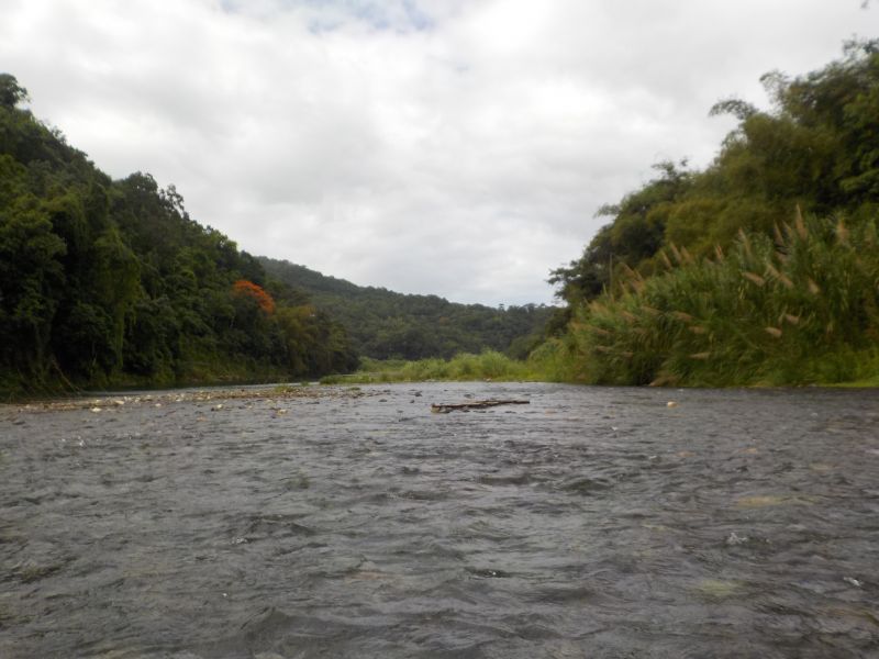 DSCN0163.JPG