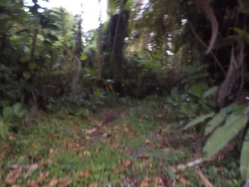 DSCN0180.JPG