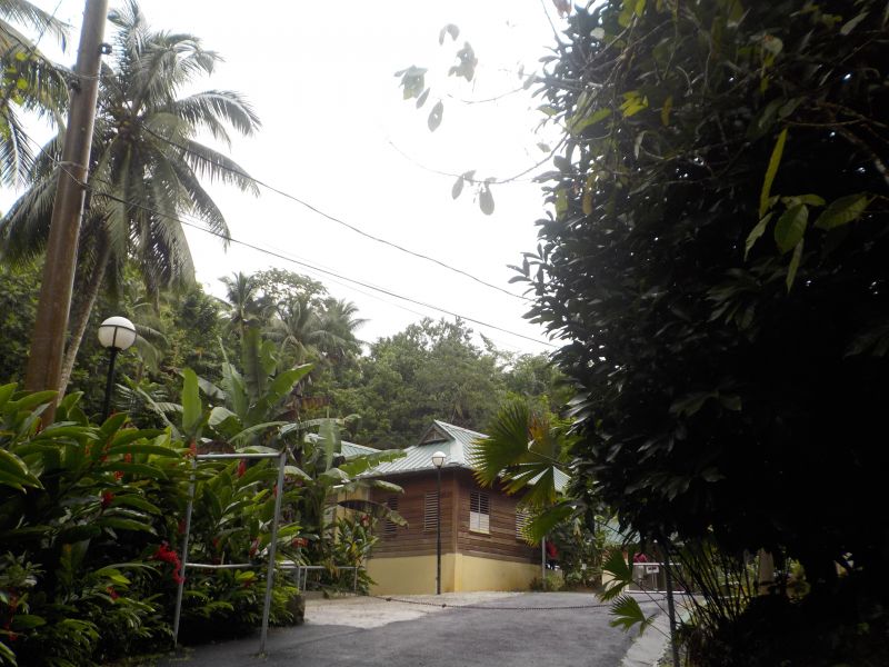 DSCN0214.JPG