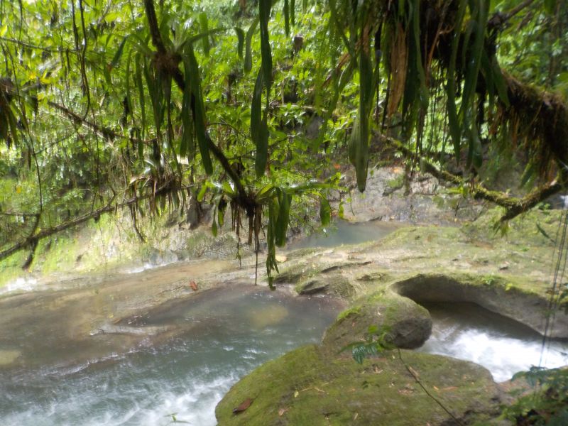 DSCN0218.JPG