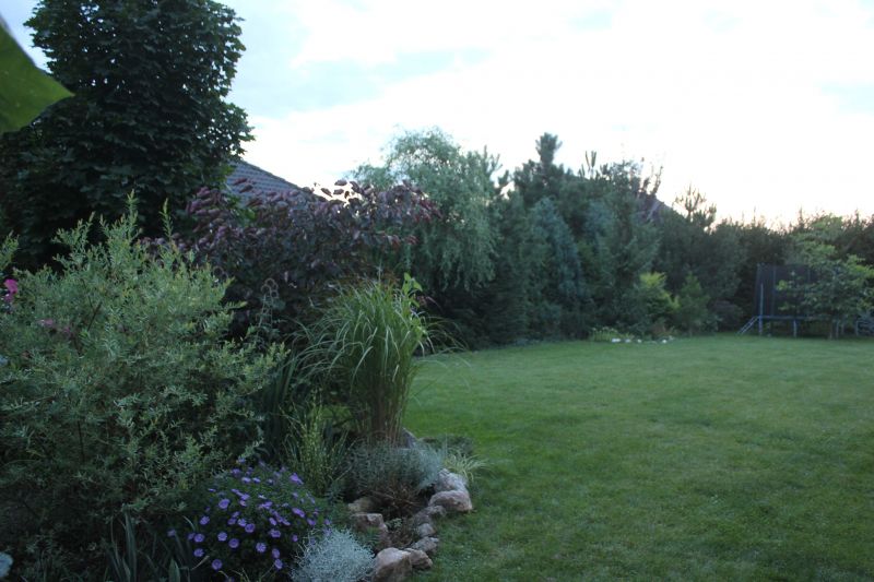 GIMG_5002_281529.JPG
