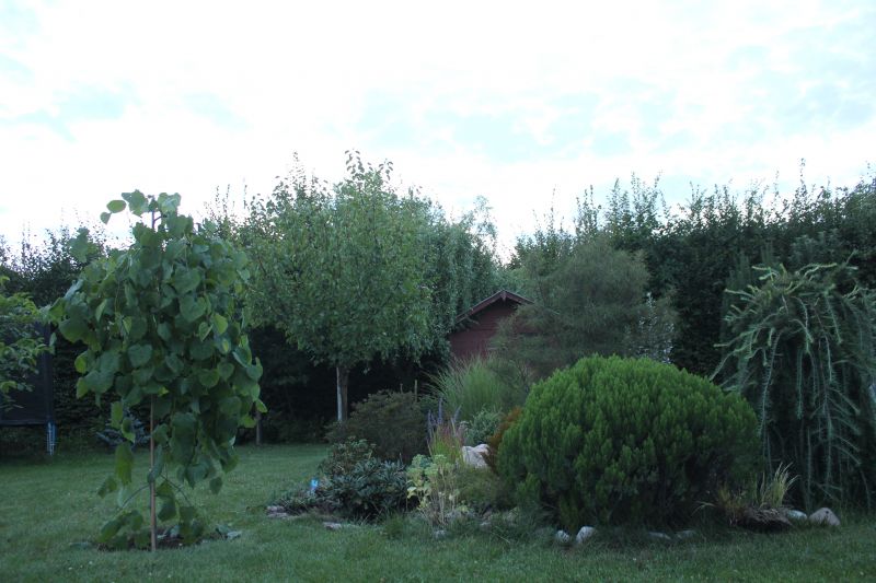 GIMG_5002_282129.JPG