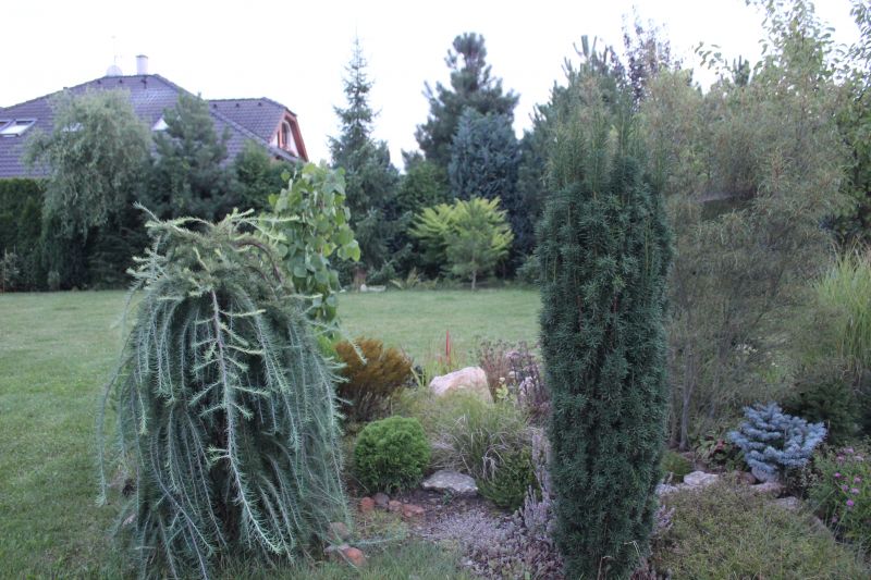 GIMG_5002_282229.JPG