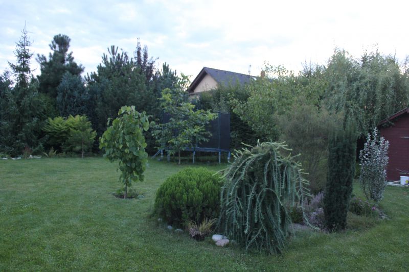 GIMG_5002_28729.JPG