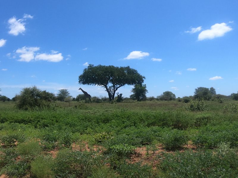 GOPR0104.JPG