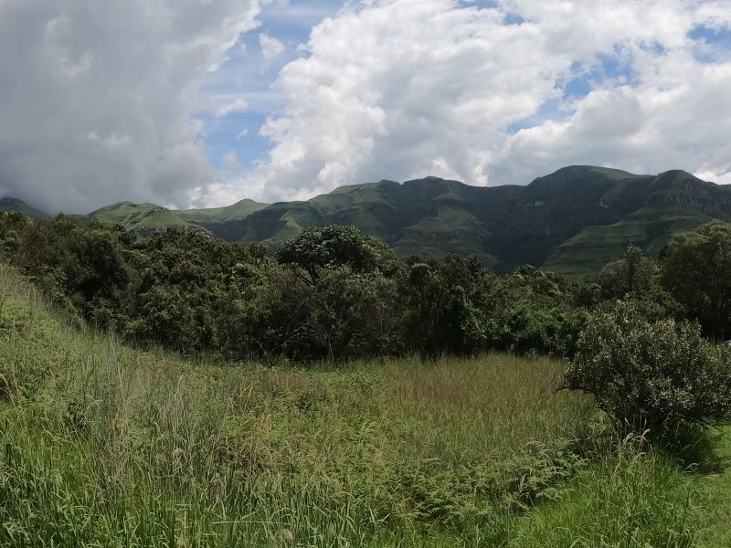 GOPR8568.JPG