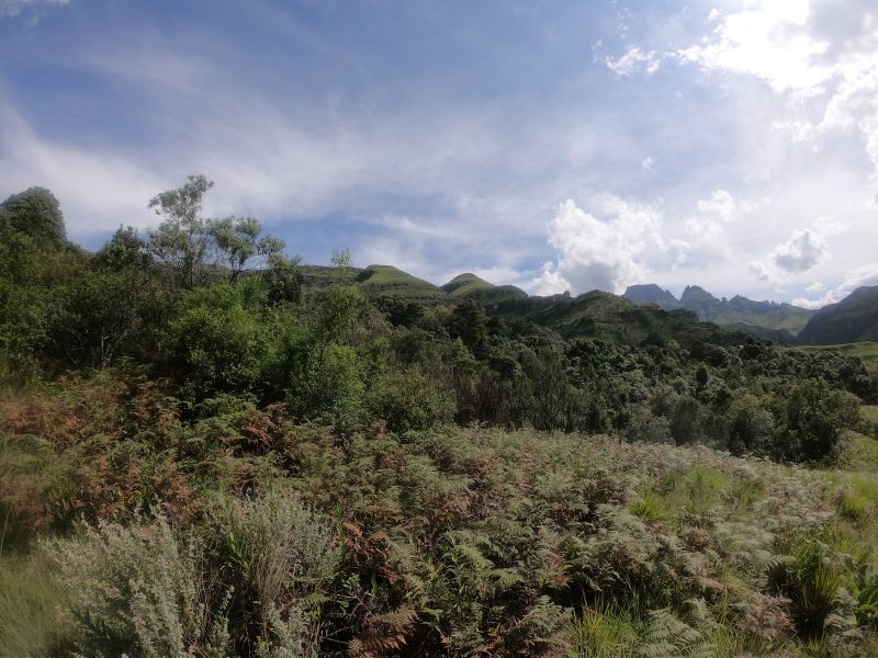 GOPR8601.JPG