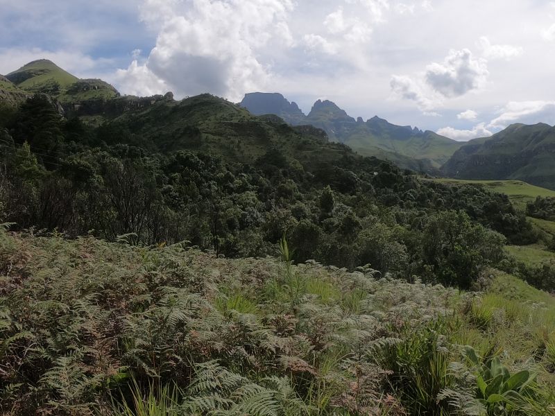 GOPR8608.JPG