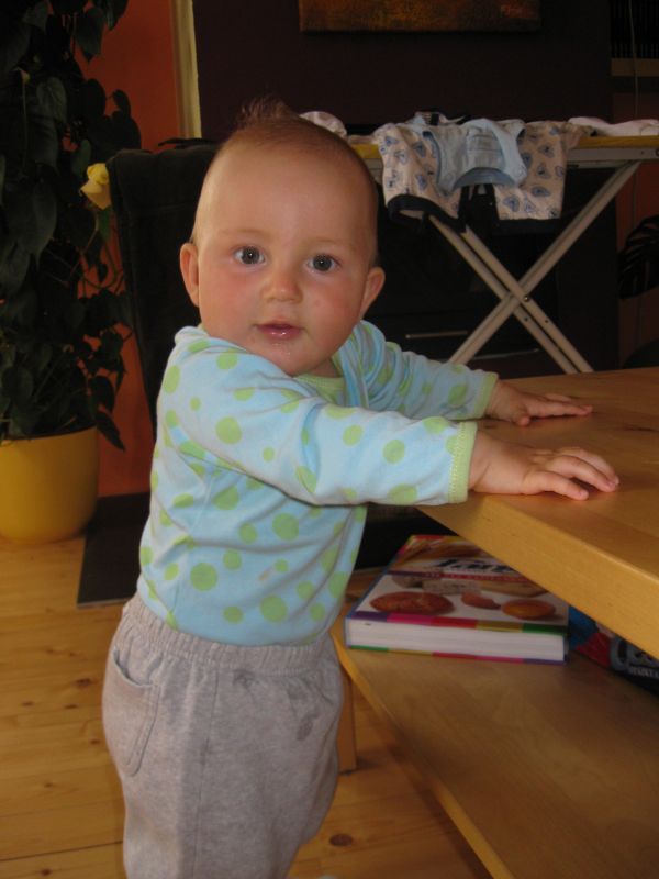 IMG_0008~3.JPG