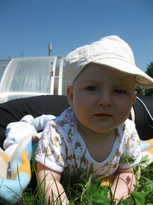 IMG_0013~1.JPG