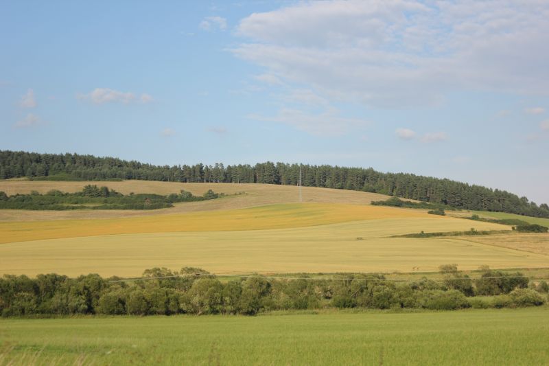 IMG_0028~8.JPG
