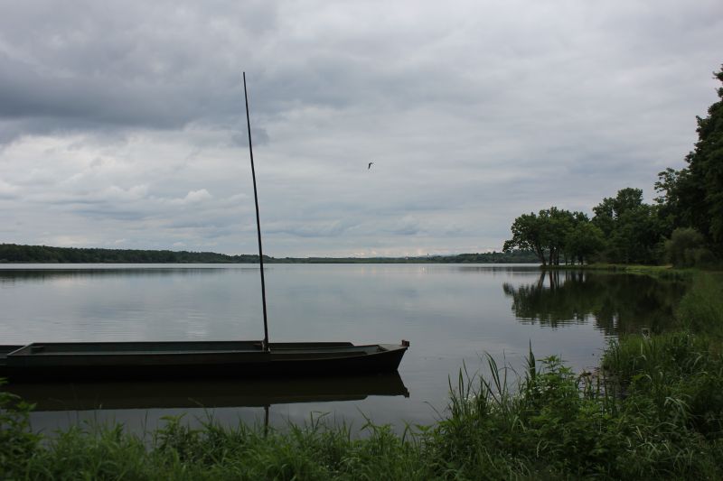 IMG_0099~1.JPG