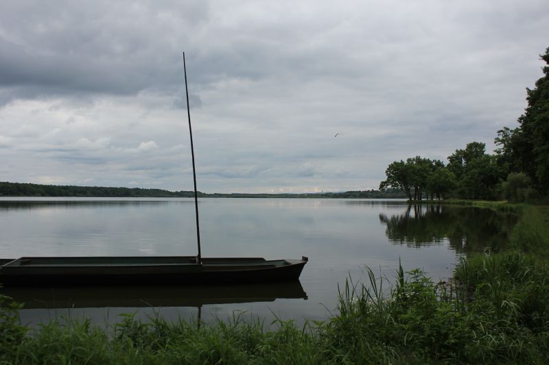 IMG_0100~2.JPG