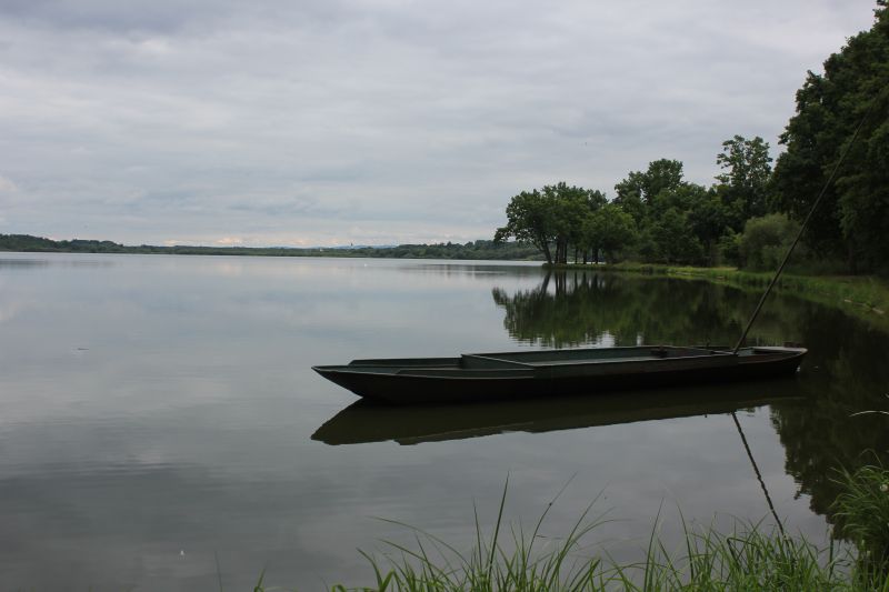 IMG_0119~1.JPG