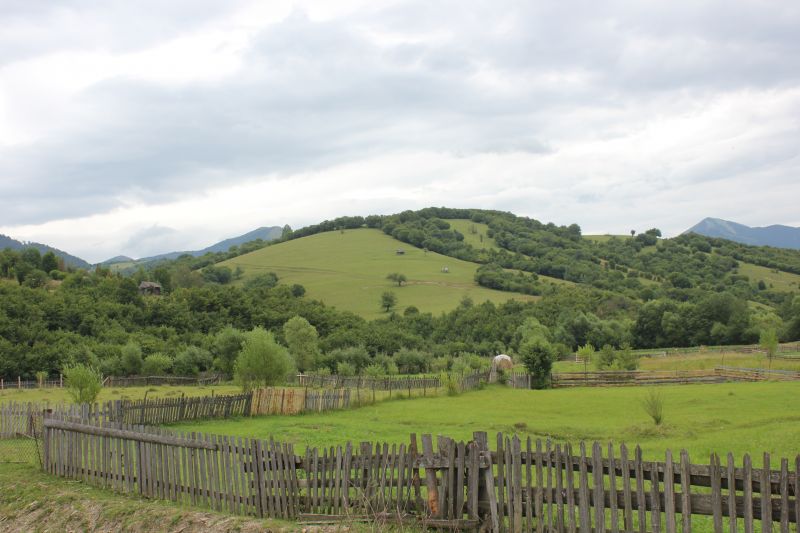 IMG_0202~3.JPG