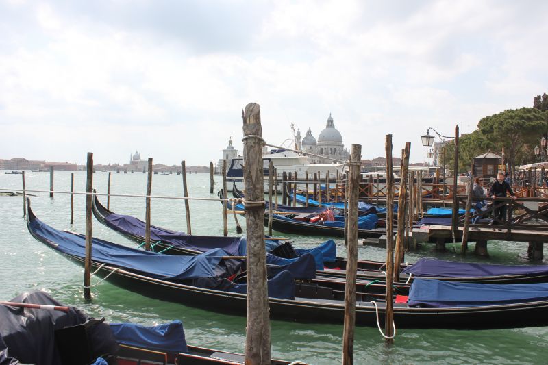 IMG_0303~6.JPG