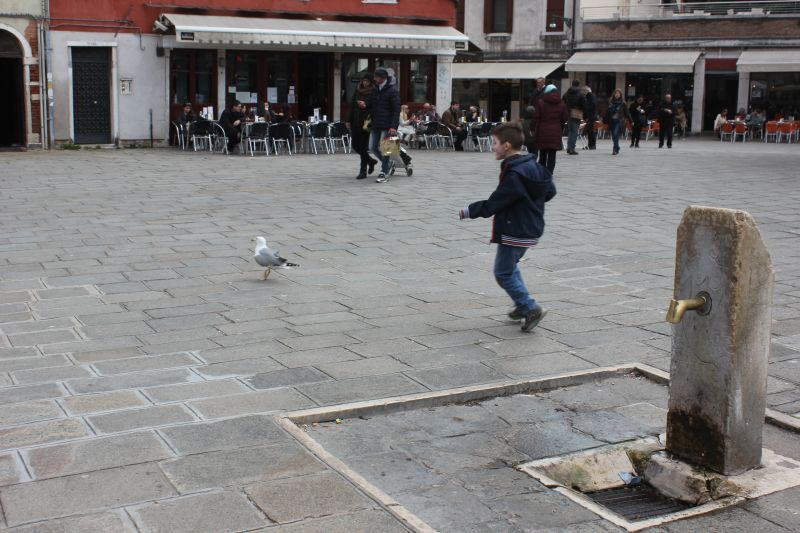 IMG_0339~4.JPG