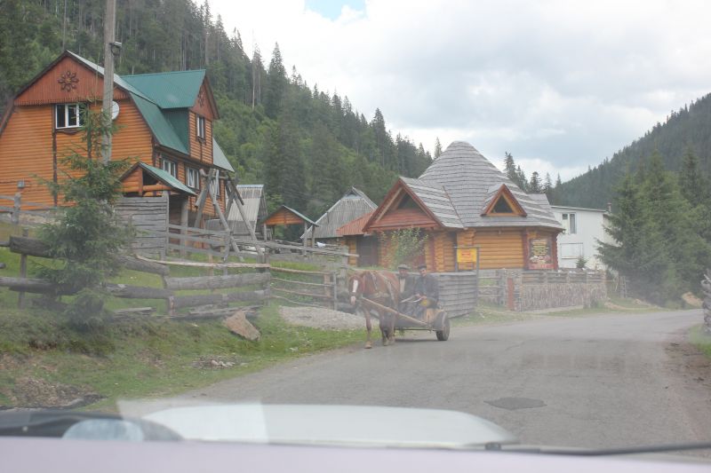 IMG_0491~0.JPG