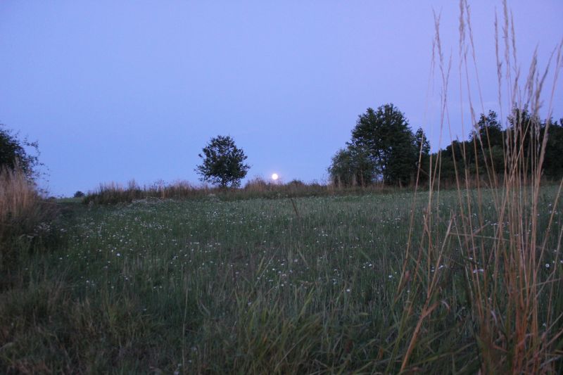 IMG_0640~0.JPG