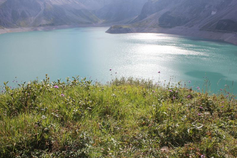 IMG_0818~1.JPG