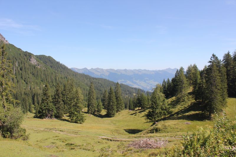 IMG_0912~1.JPG