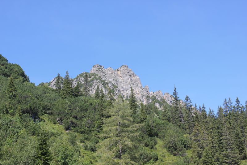 IMG_0918~0.JPG