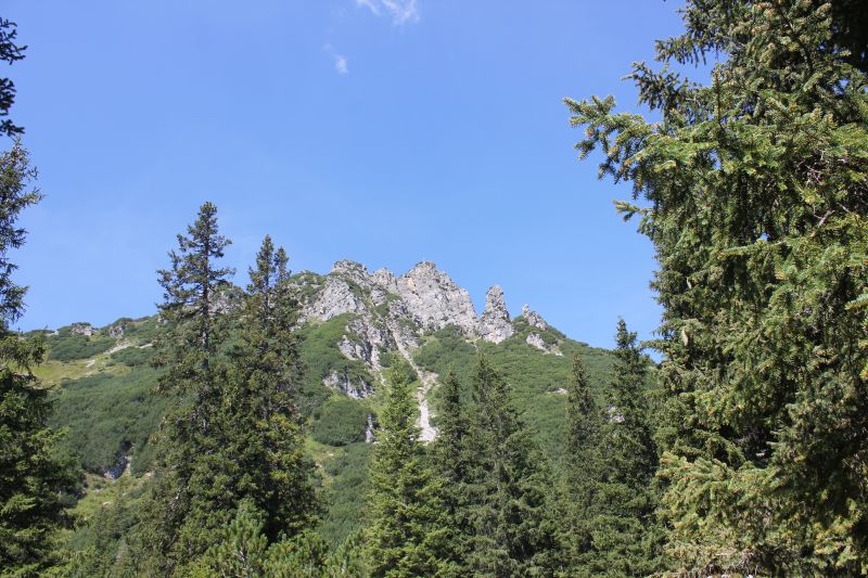 IMG_0920~1.JPG