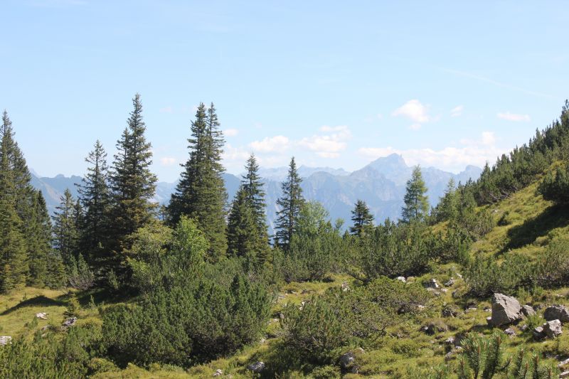 IMG_0925~2.JPG