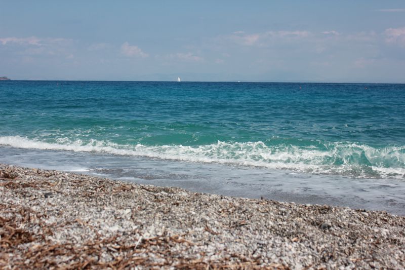 IMG_1048~1.JPG