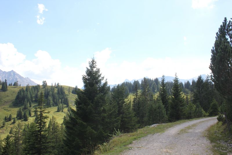 IMG_1048~3.JPG