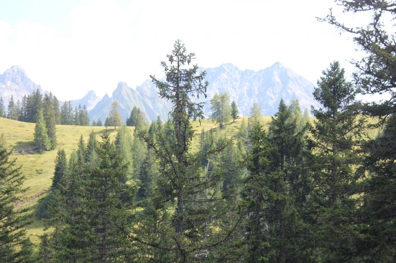 IMG_1052~3.JPG