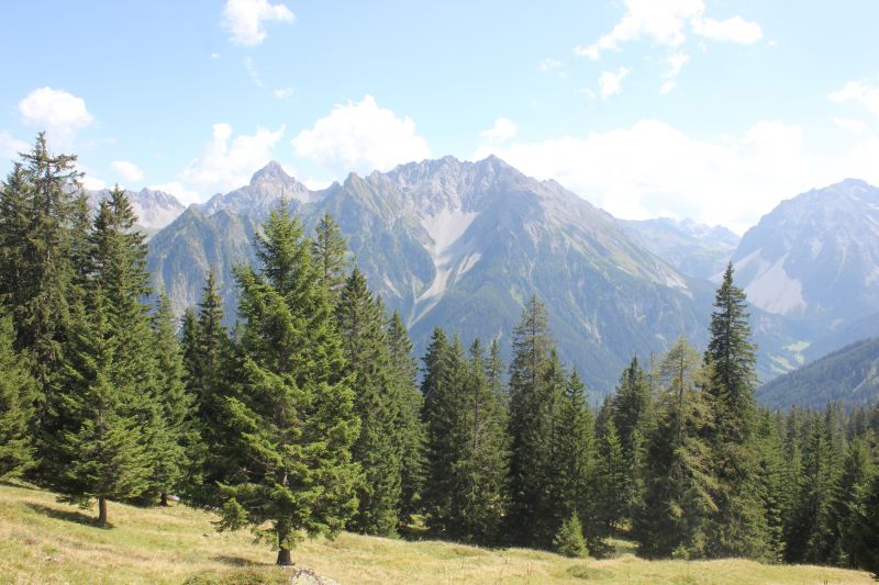 IMG_1067~3.JPG