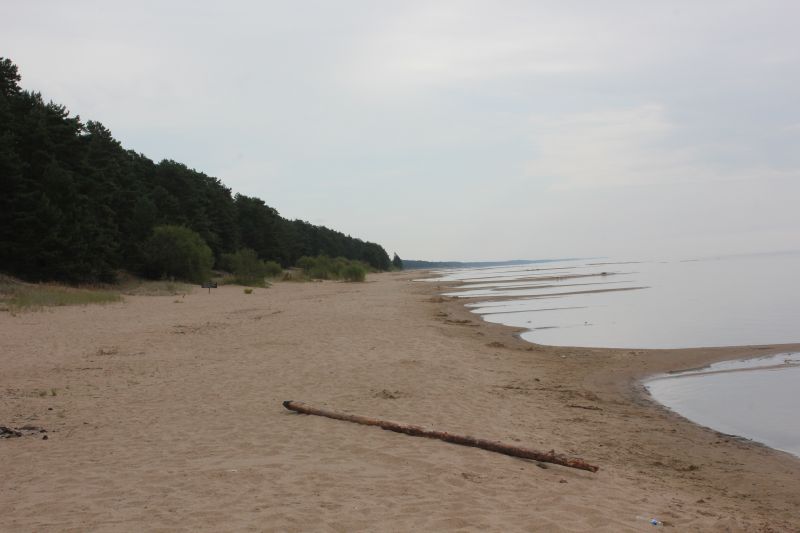 IMG_1089.JPG