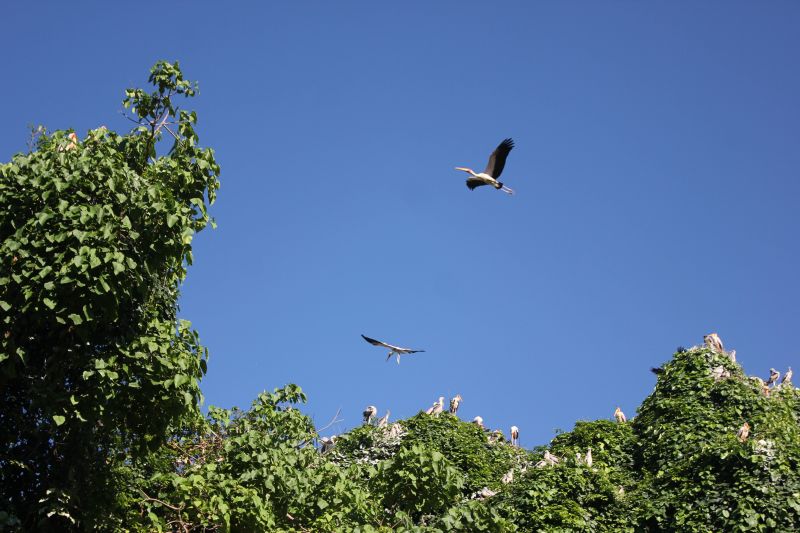 IMG_1126~1.JPG