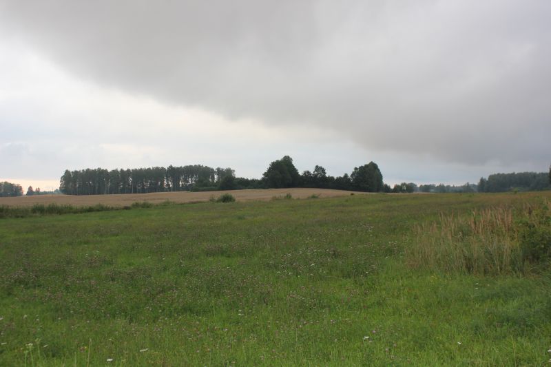 IMG_1143.JPG