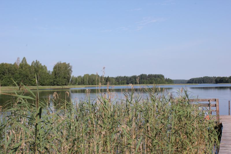 IMG_1274~0.JPG