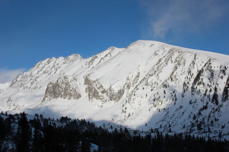 IMG_1446.JPG
