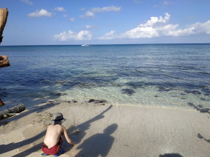 IMG_20190209_093722.jpg